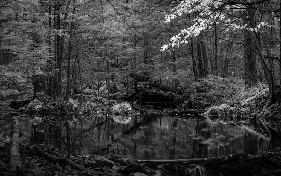 地板香港：探索本地地板文化與趣味故事