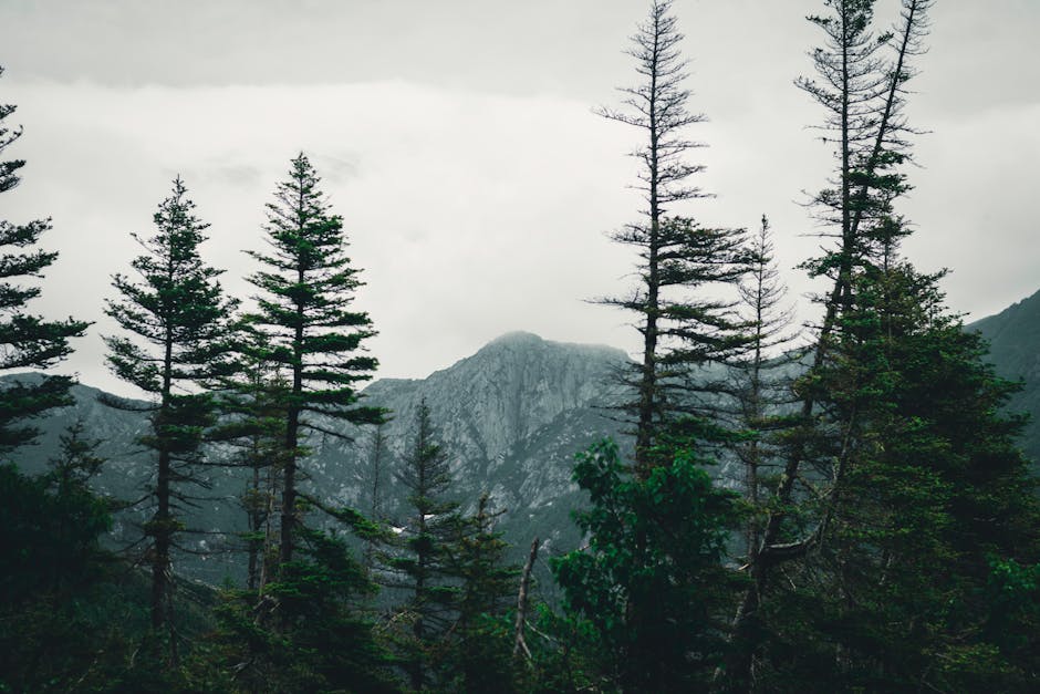 柏蔚山：探索自然與情感的絕妙連結